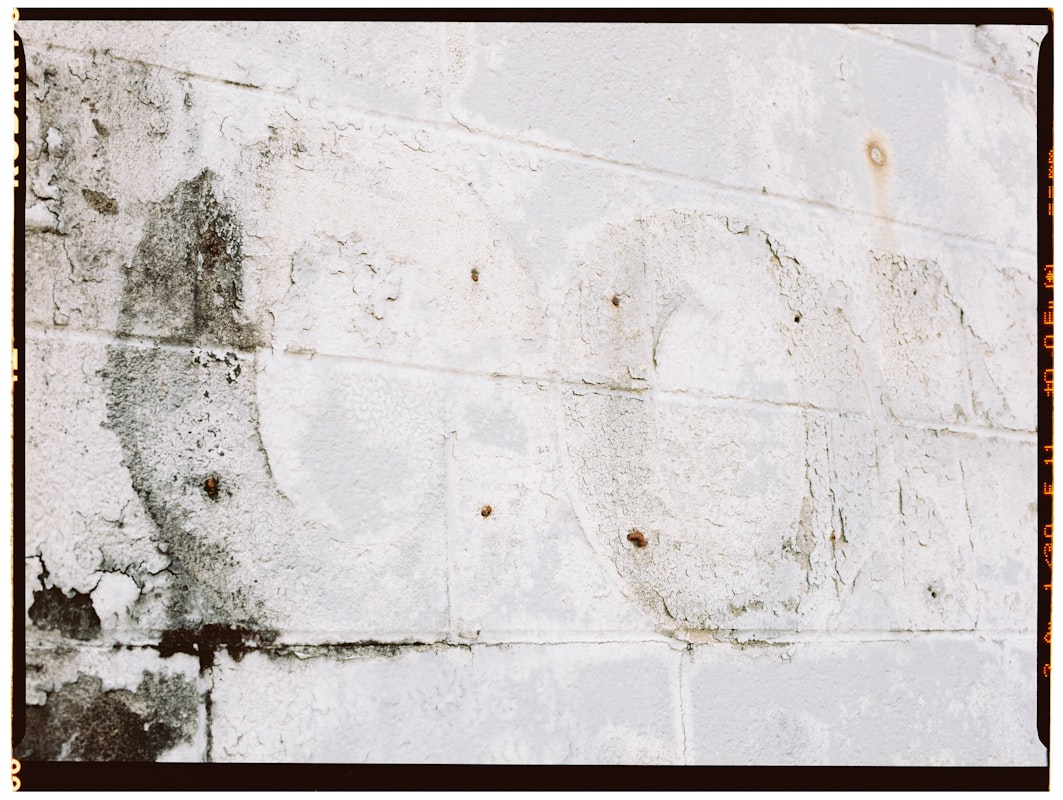 Basement Water Removal service in Madison, WI