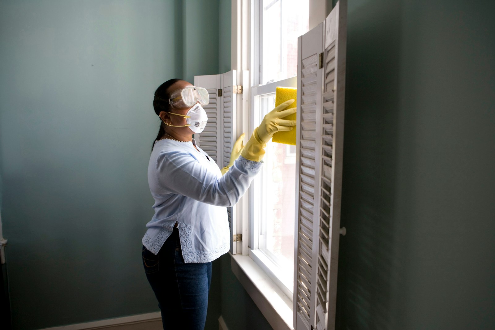 Mold Remediation service in Madison, WI