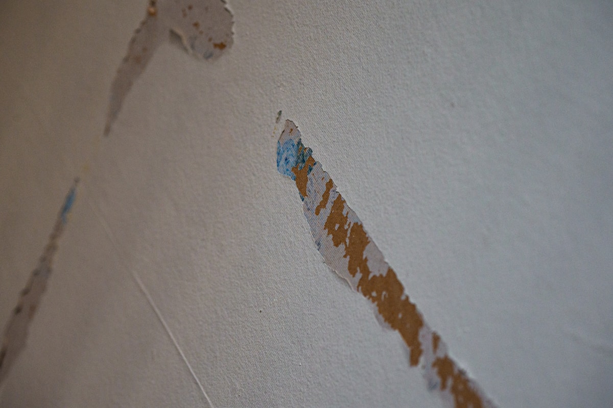 Commercial Water Damage service in Madison, WI